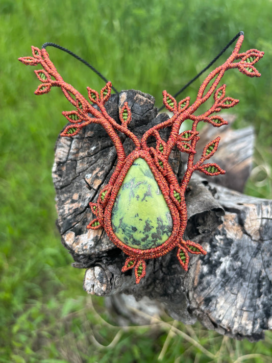 arbre creciente